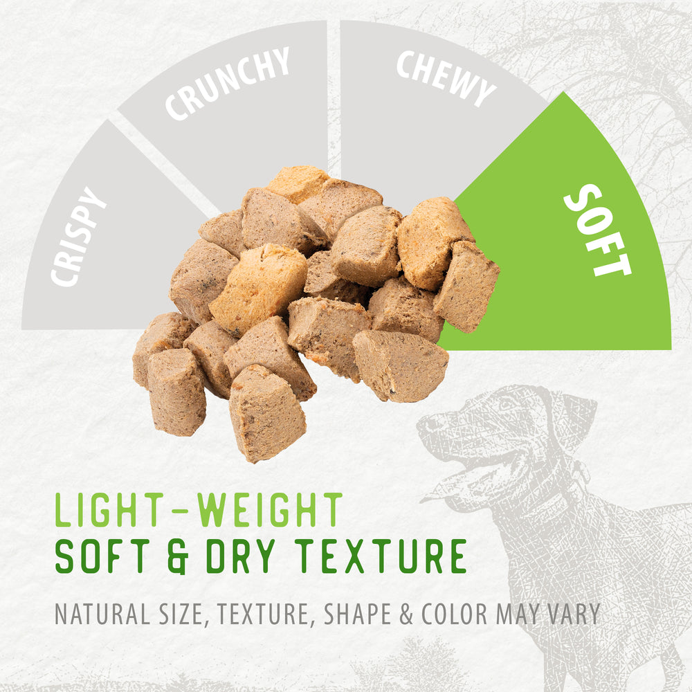 
                        
                          Freeze Dried Salmon Bites
                        
                      