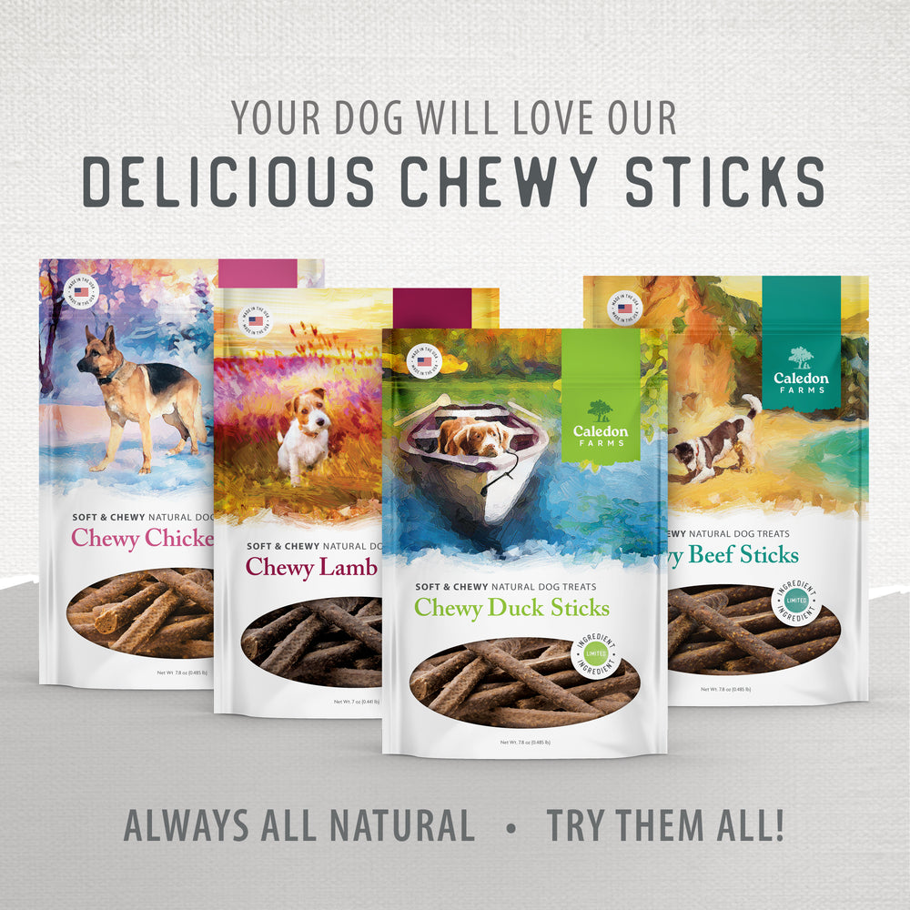 
                        
                          Chewy Chicken Sticks™
                        
                      