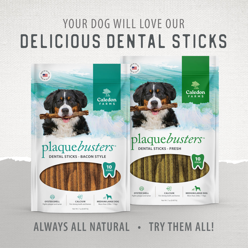 
                        
                          Plaque Busters Fresh Dental Sticks Value Pack
                        
                      