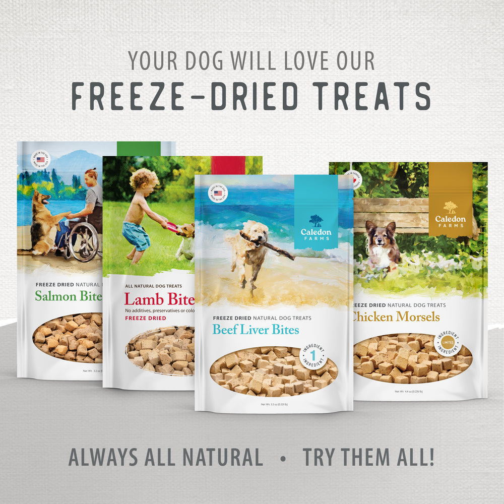 
                        
                          Freeze Dried Lamb Bites
                        
                      