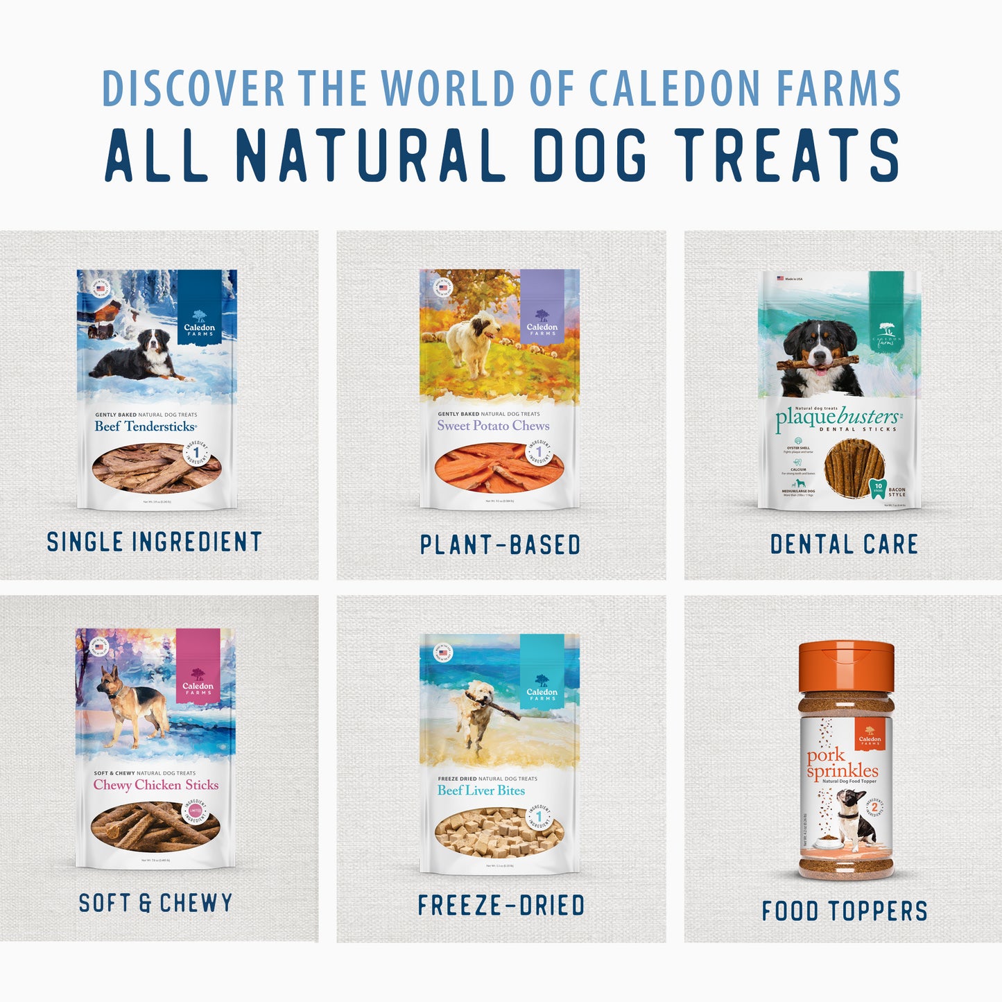 
                        
                          Freeze Dried Lamb Bites
                        
                      