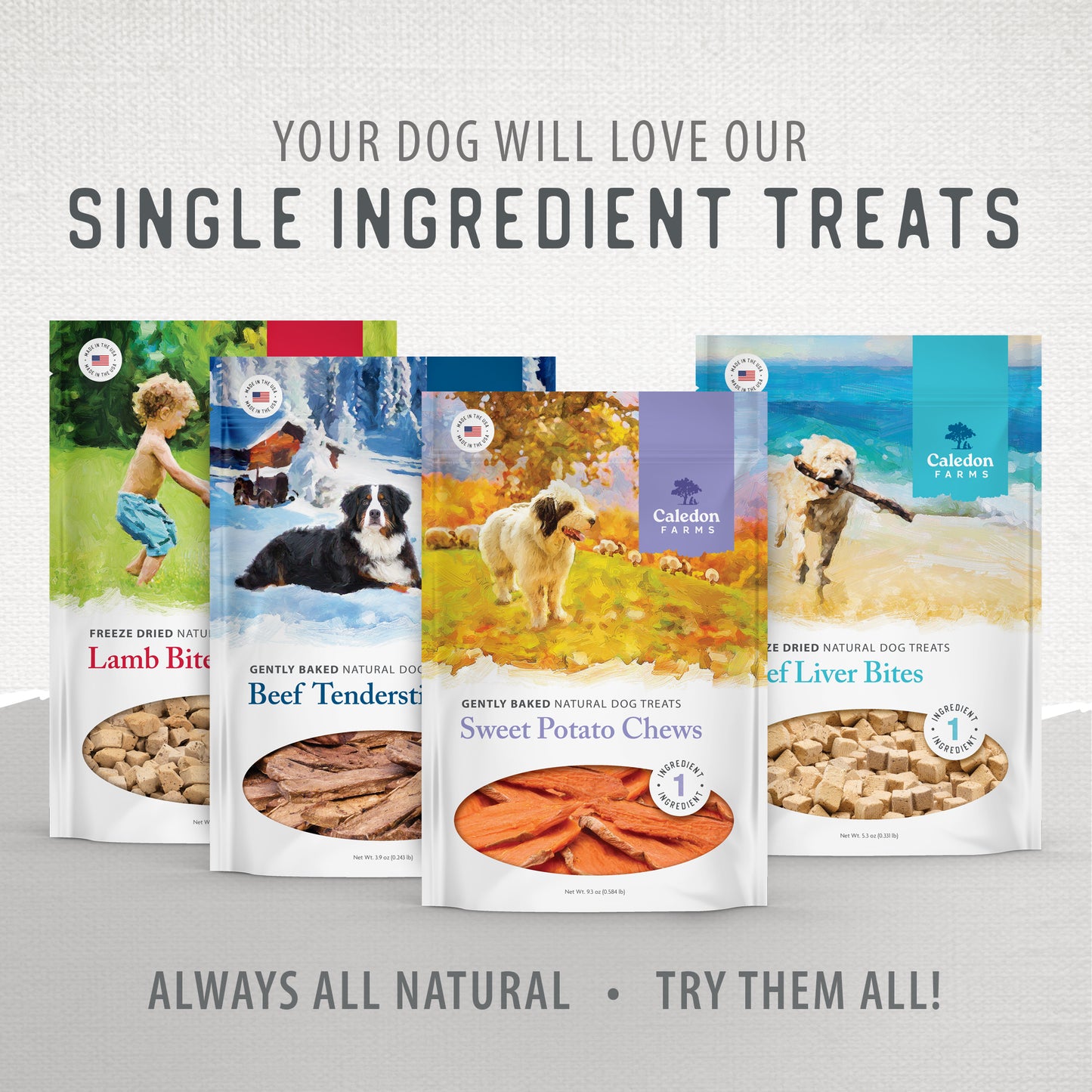 
                        
                          Sweet Potato Chews Value Pack
                        
                      