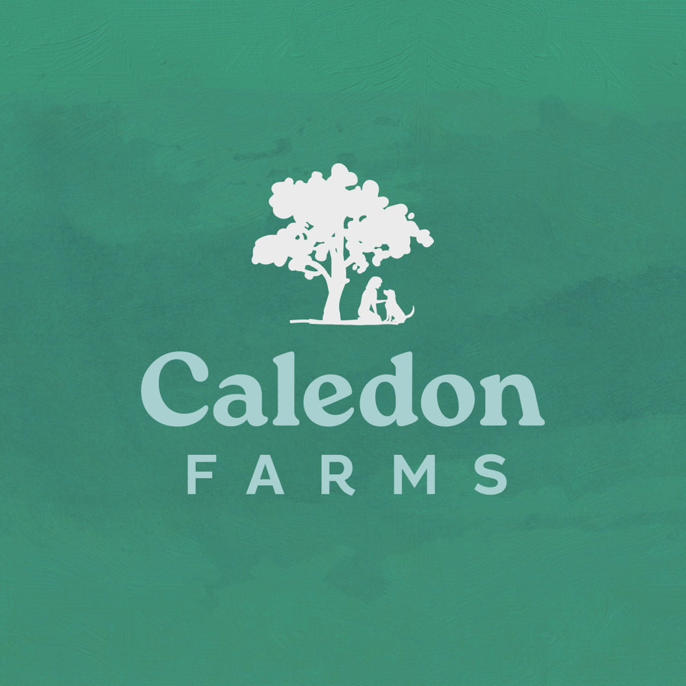 
                        
                          Load and play video in Gallery viewer, Chewy Beef Sticks Value Pack
                        
                      