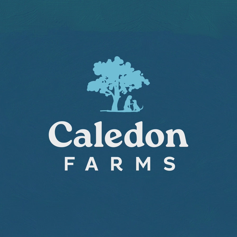 
                        
                          Load and play video in Gallery viewer, Freeze Dried Lamb Bites
                        
                      