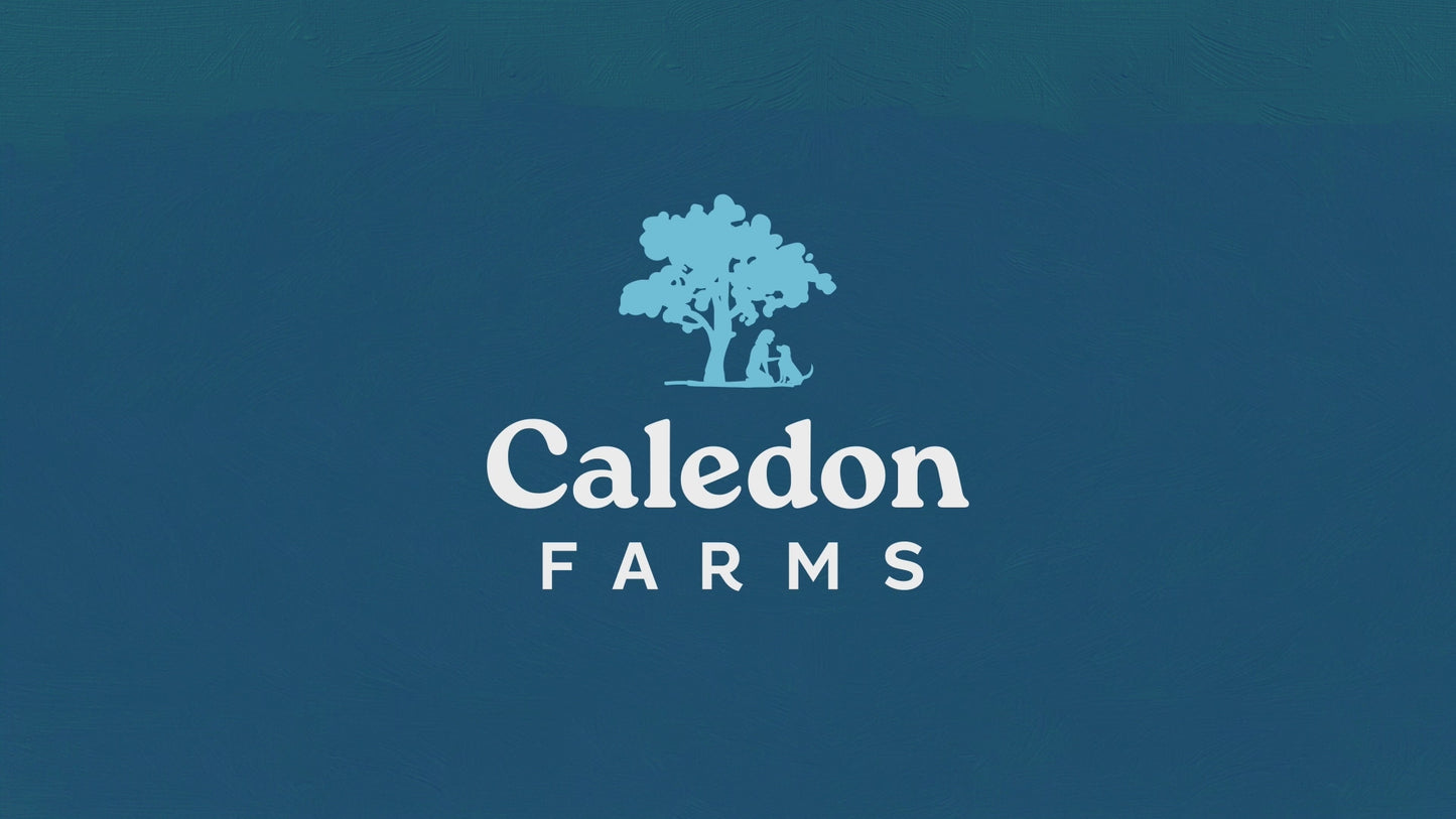 
                        
                          Load and play video in Gallery viewer, Freeze Dried Lamb Bites
                        
                      