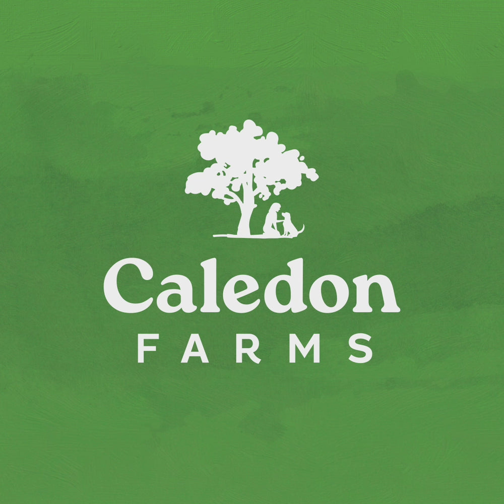 
                        
                          Load and play video in Gallery viewer, Chewy Chicken Sticks™
                        
                      