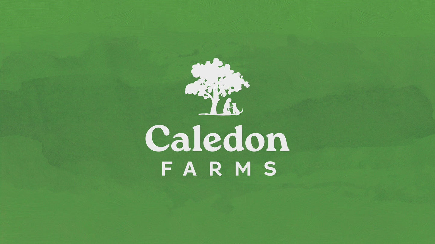 
                        
                          Load and play video in Gallery viewer, Chewy Chicken Sticks™
                        
                      