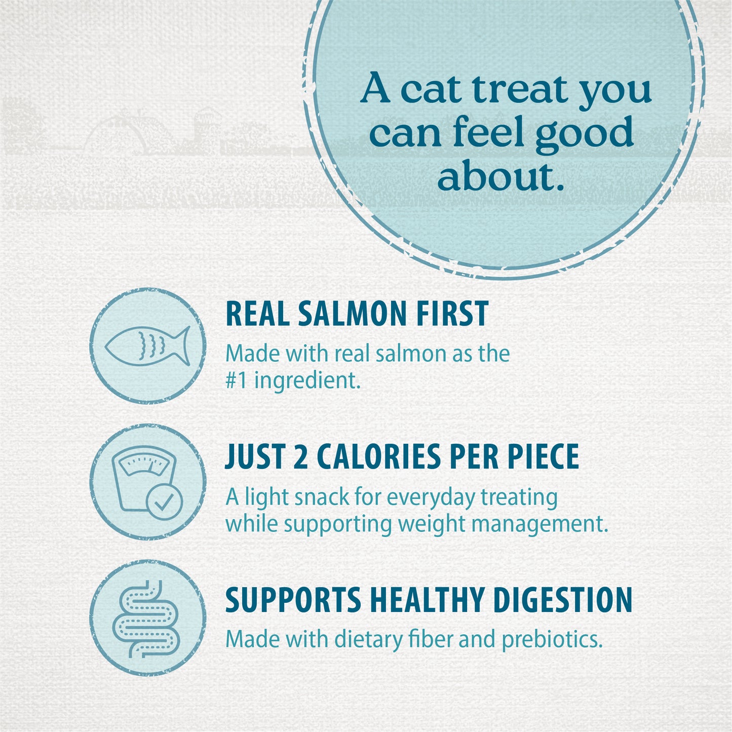 
                        
                          NutriSnaps Salmon Recipe — Key Benefits
                        
                      