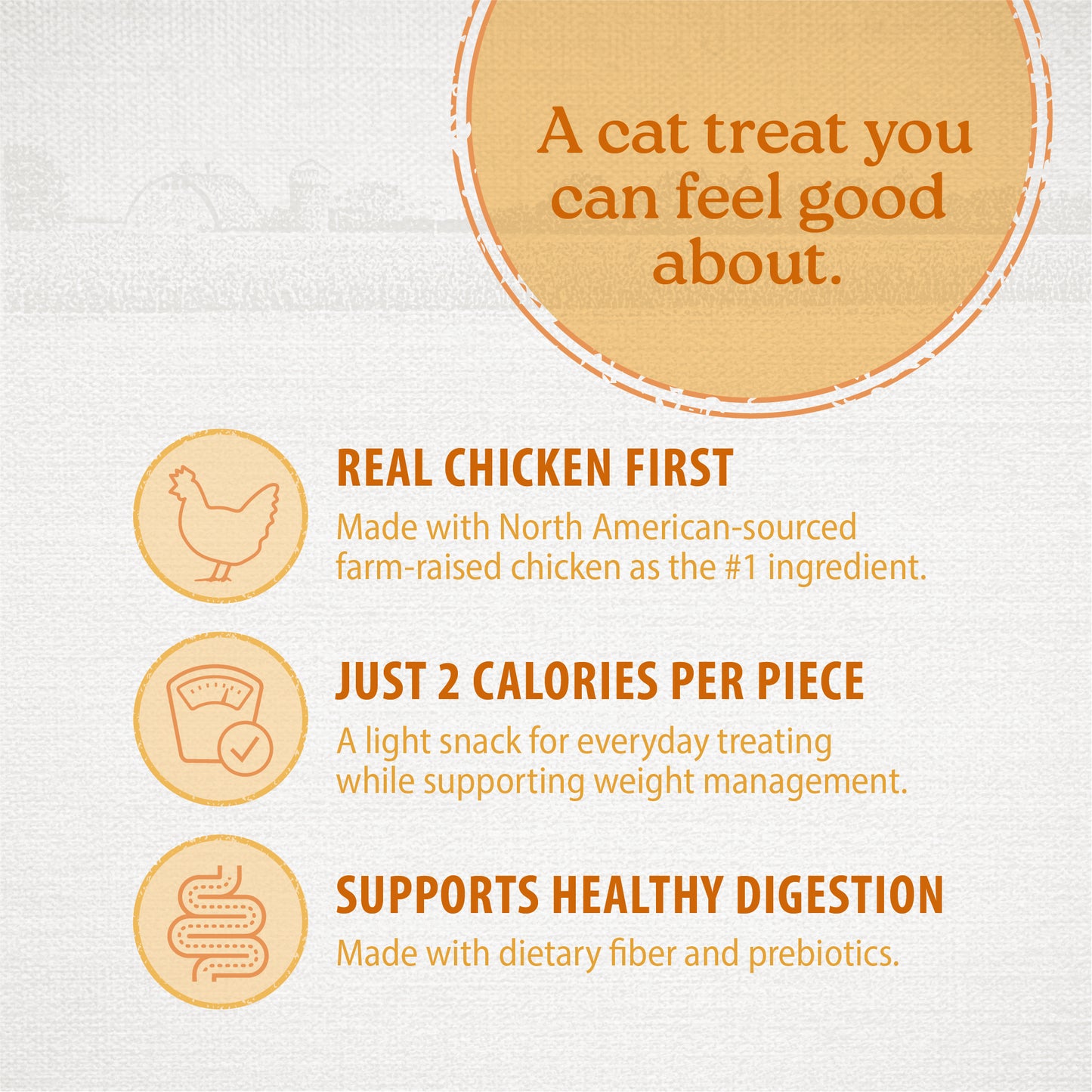 
                        
                          NutriSnaps Chicken Recipe — Key Benefits
                        
                      