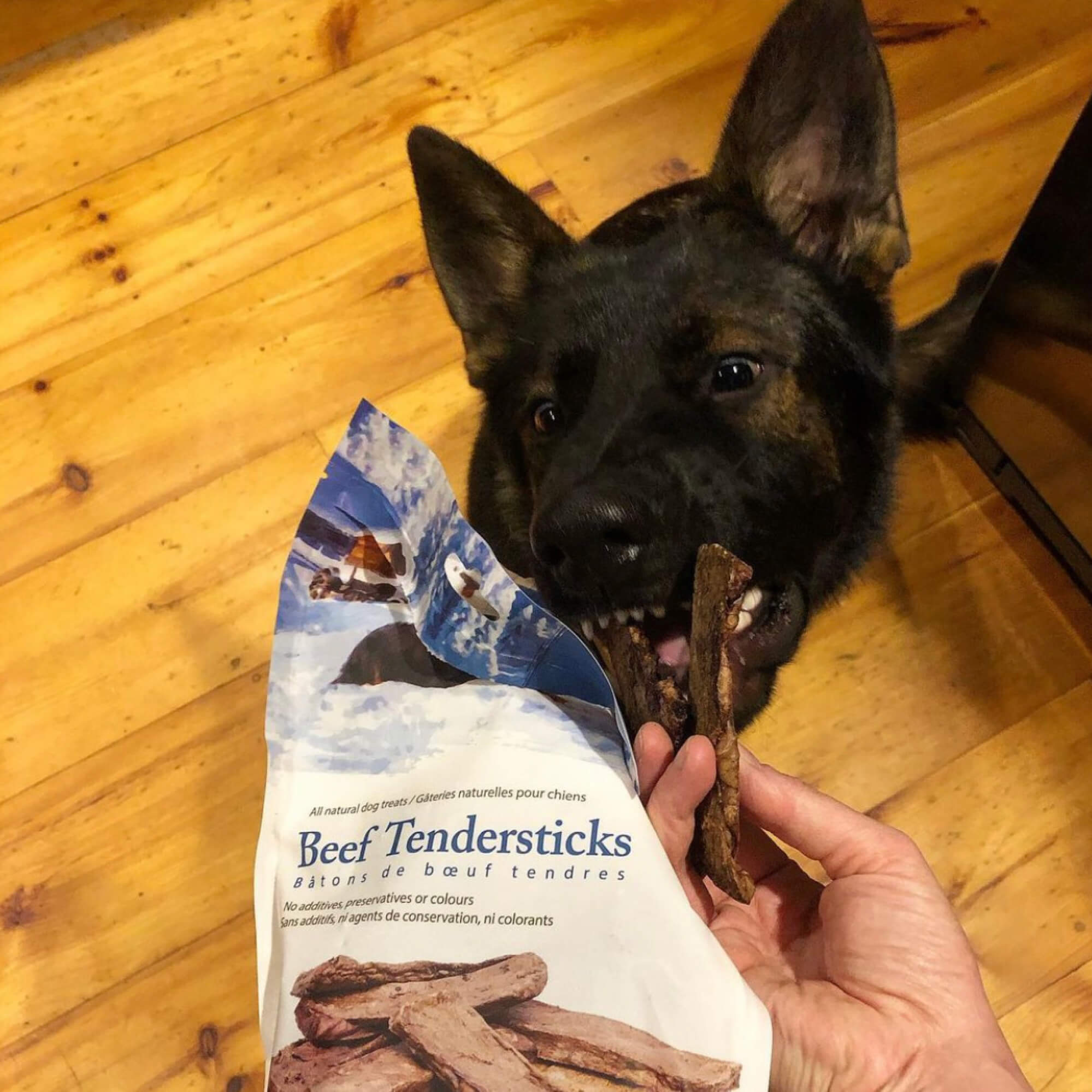 Beef Tendersticks Dog Treats Caledon Farms U.S