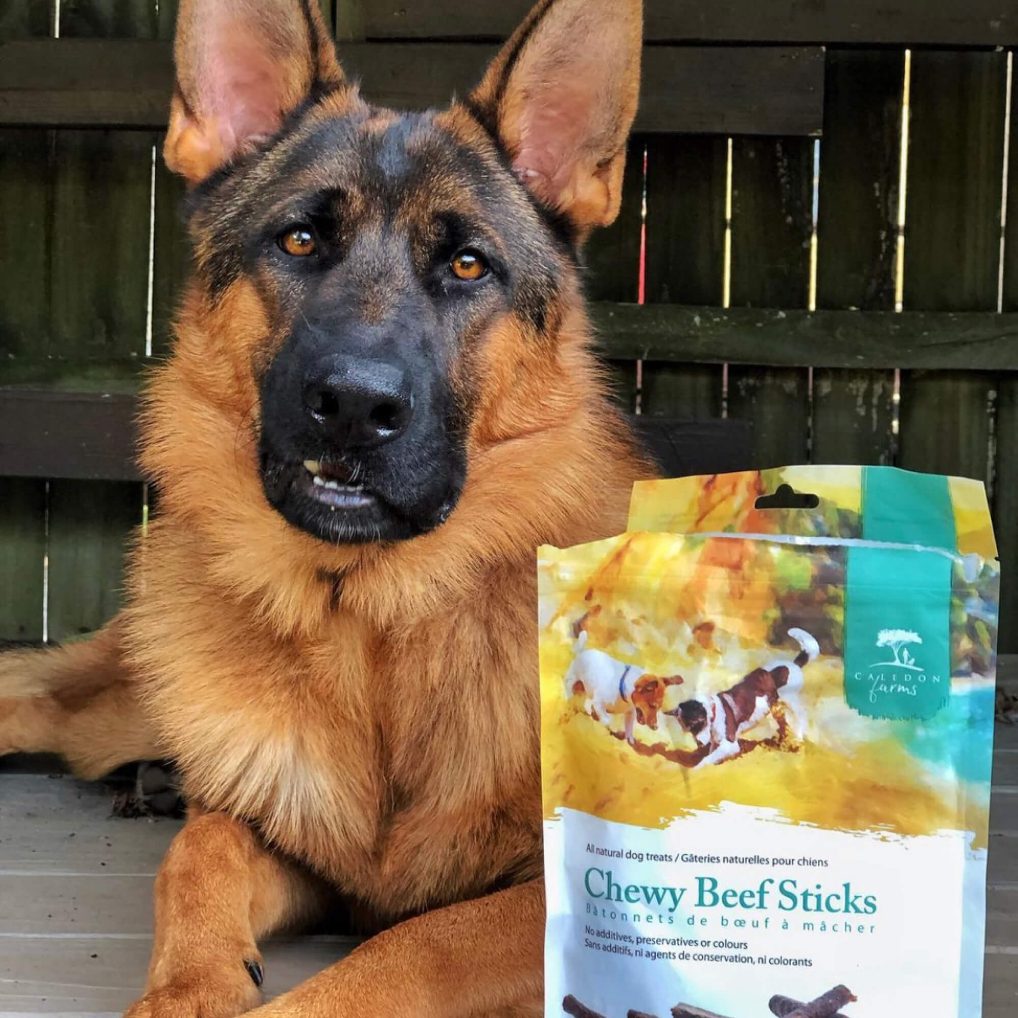 German shepherd clearance dog treats