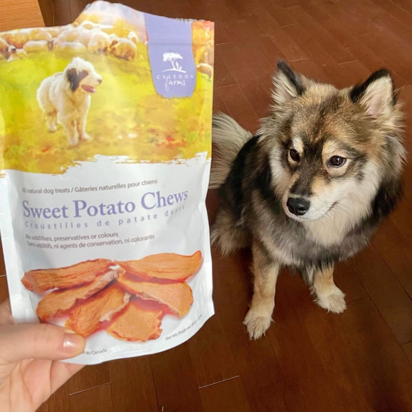 Sweet Potato Chews Value Pack